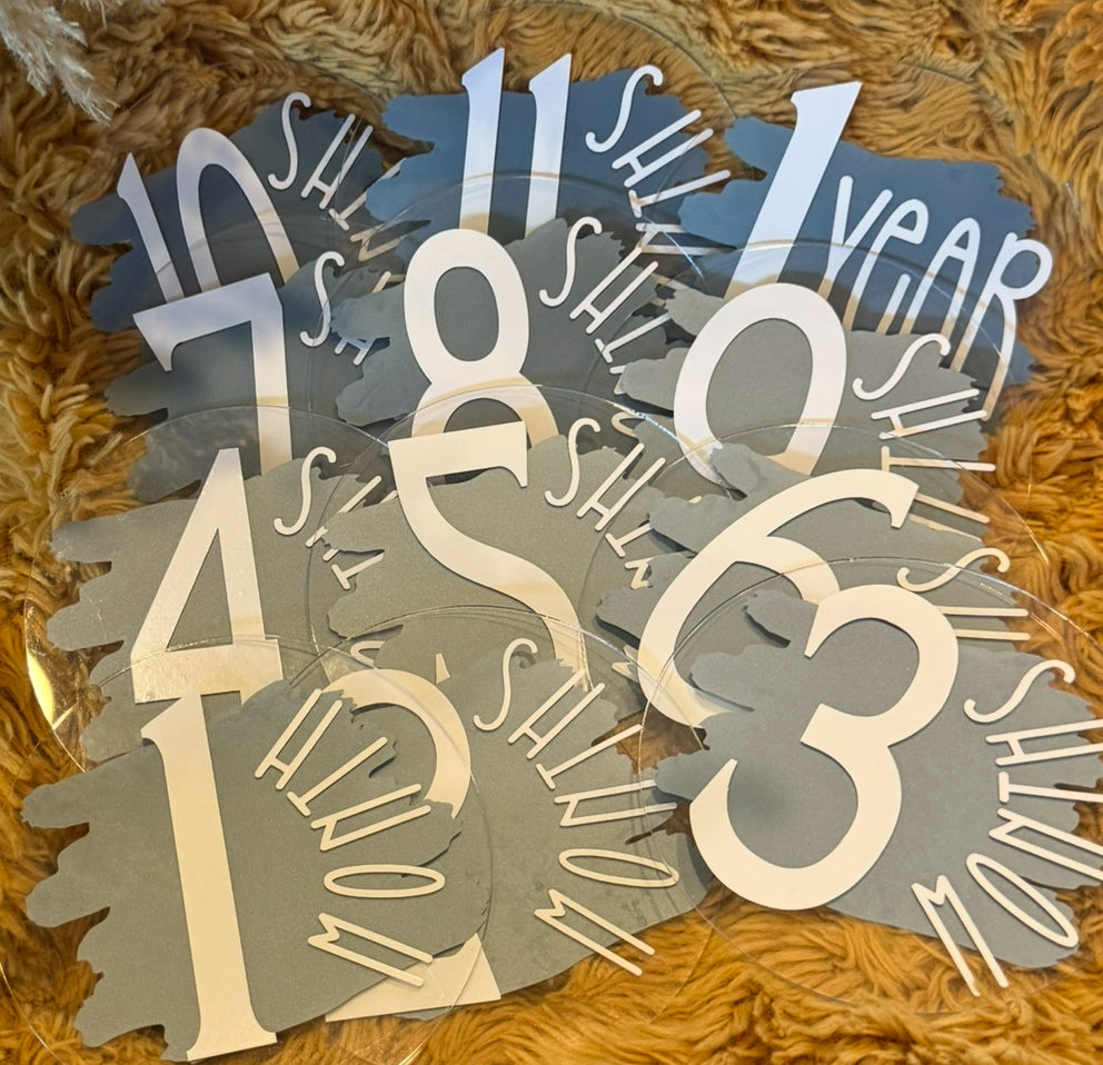 Baby Monthly Milestone acryllic discs